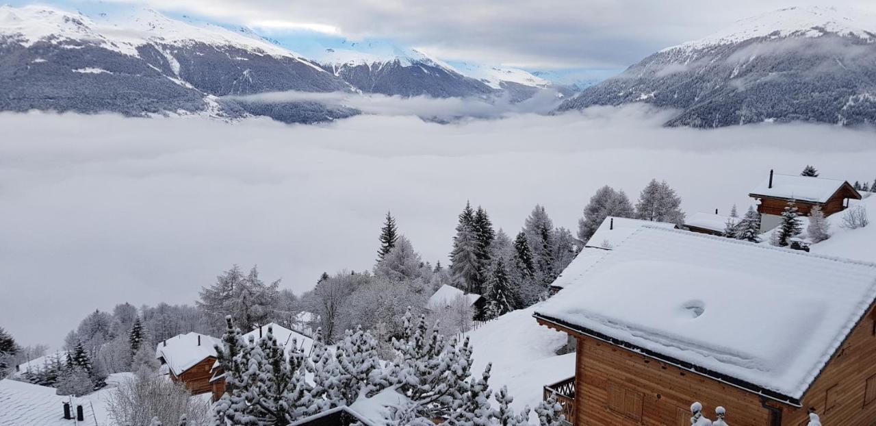 Les Collons1800- Bel Appart 2Pieces-4 Pers-Piscine-Sauna-Parking Int-Wifi Gratuit Vex Buitenkant foto